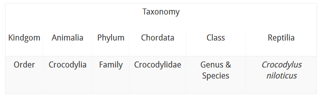 AGA Blog - About Crocodiles Taxonomy