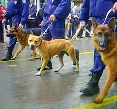 WhatsApp Image 2025-10-18 at 20.01_edited.jpg