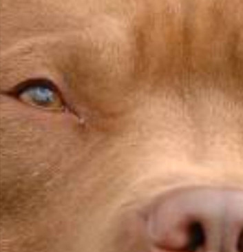 WhatsApp Image 2025-10-06 at 17.48.00_c5d90b23.jpg