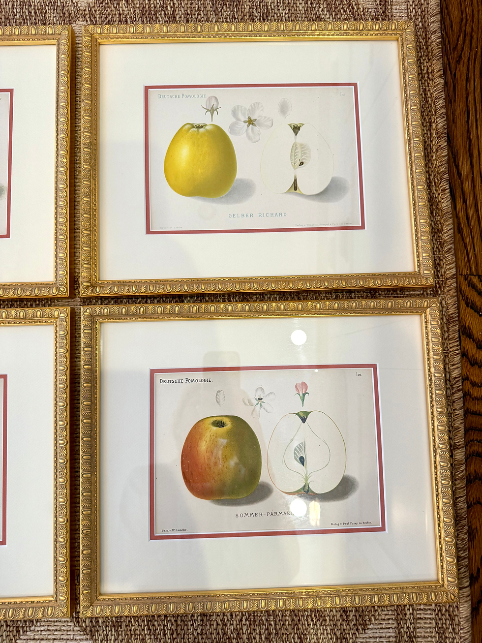 Thumbnail: Set of 4 Germany Apple Fruit Prints in Gilt Frames 
