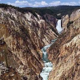 Grand Canyon of the Yellowstone with the Yellowstone River and Lower Falls under a blue sky.