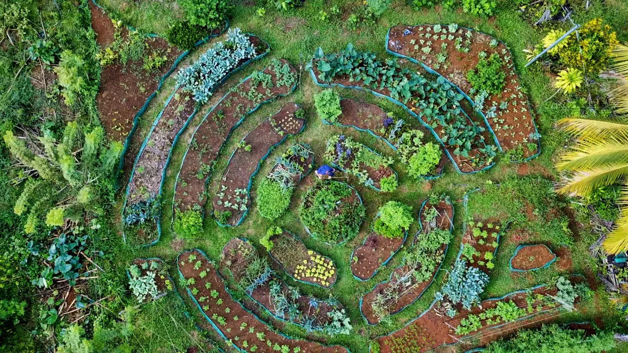 Permacultura-circular.jpg.webp
