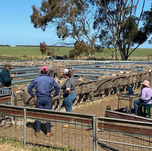 Completing an Emissions Profile: Bruce & Trudy Pengilly Case Study