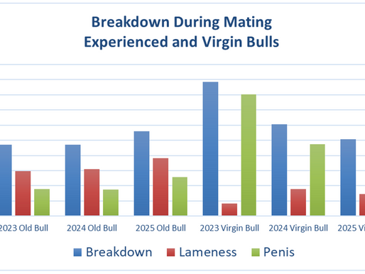 Final results of 3-year bull breakdown PDS