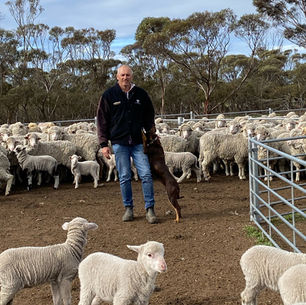 Live export decision a departure from evidence and science-based policy