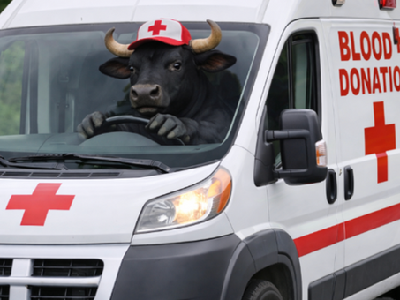 Join the BVDV Blood Drive!