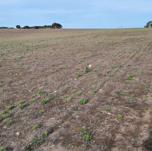 Dry Season Resources 2.0: The skies have opened