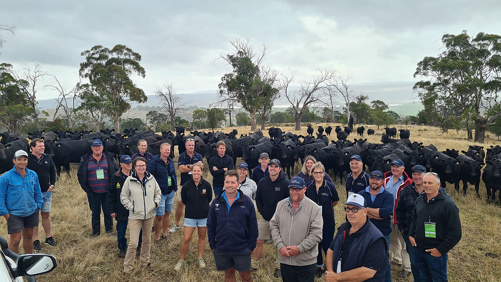 Cattle Study Tour