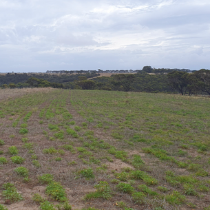 FEED365 Demonstration Sites: 2023 season wrap