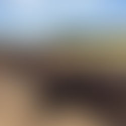 The latest on early weaning calves: Esperance demonstration results