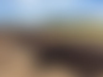 The latest on early weaning calves: Esperance demonstration results