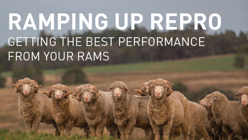 RAMping Up Repro Workshop