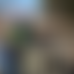 ASHEEP Shearing Interval Demonstration 6 v 12 months