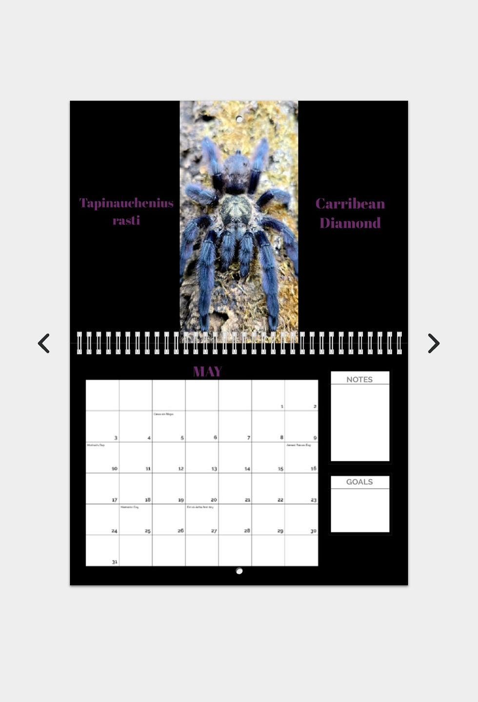 Thumbnail: 2026 Calendar