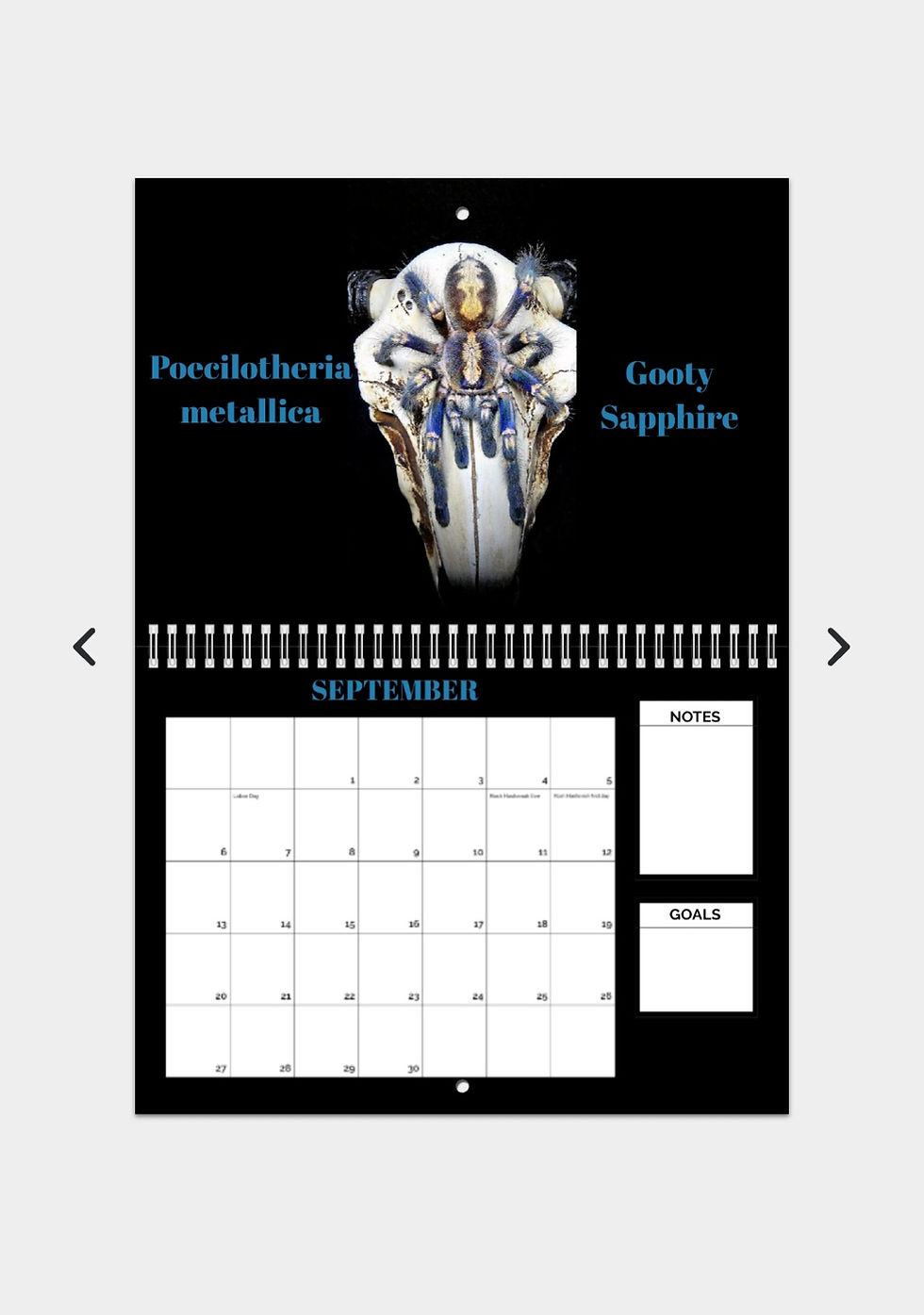 Thumbnail: 2026 Calendar
