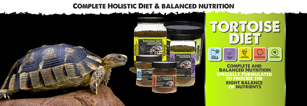 Tortoise Nutrition