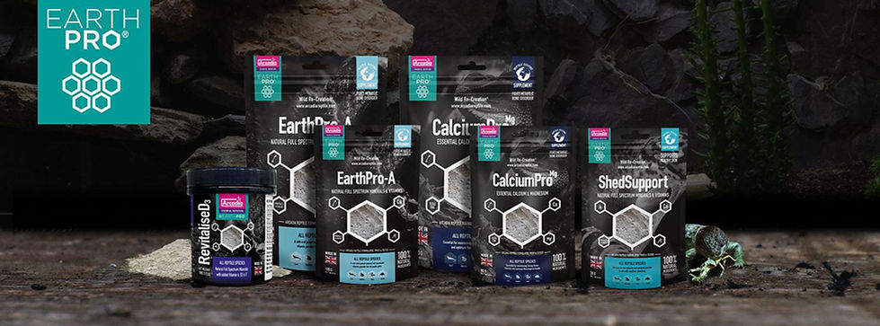 Arcadia Earth Stockist in Midlands