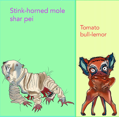 HYBRID CHARACTERS.jpeg