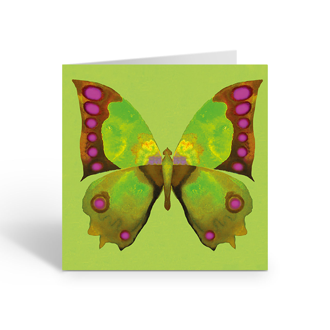 Green Butterfly - card