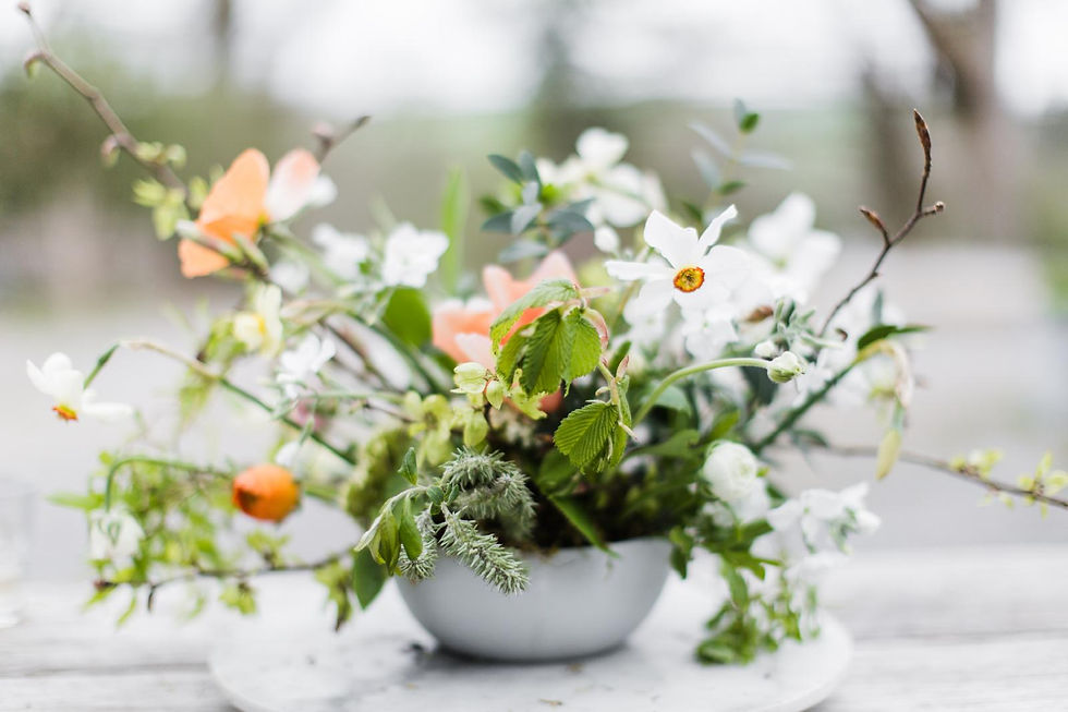 WhatsApp Image 2026-02-07 at 13.53.12 (3)