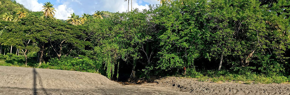 Saint Vincent and the Grenadines
