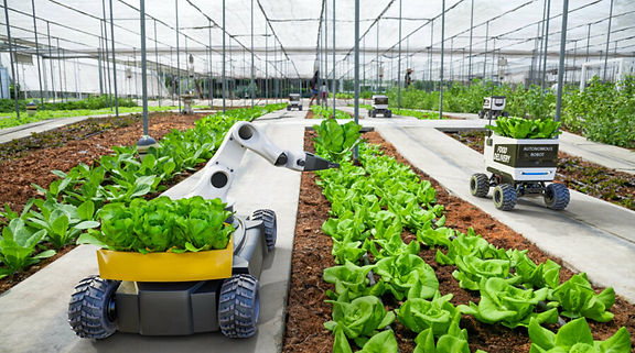 modern agriculture.jpg