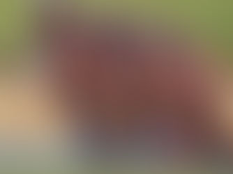 brandbakers-advisory-sladeny-tym