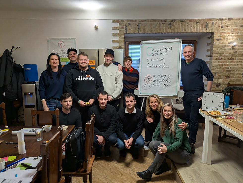 brandbakers-advisory-sab-servis