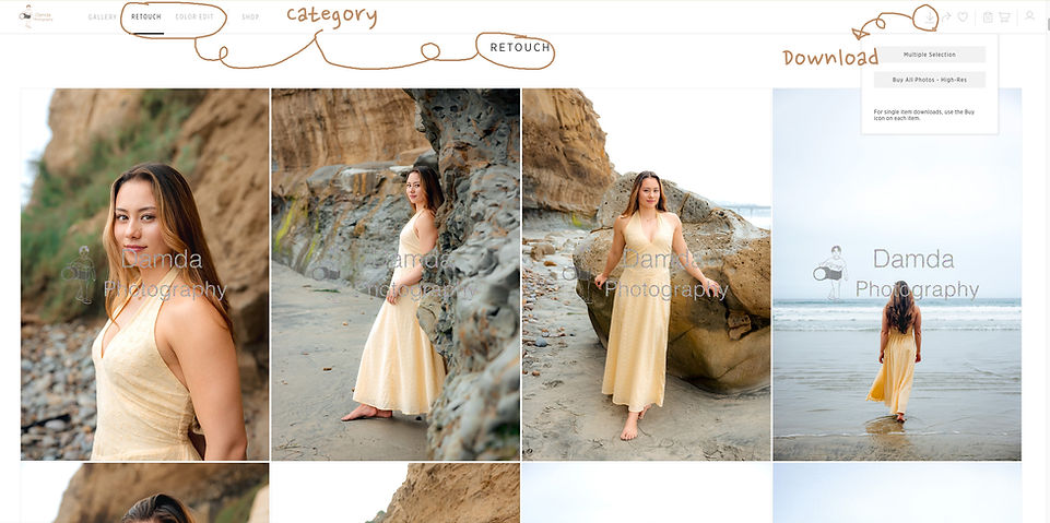 Damda Photography download page