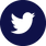Twiter-circle-logo