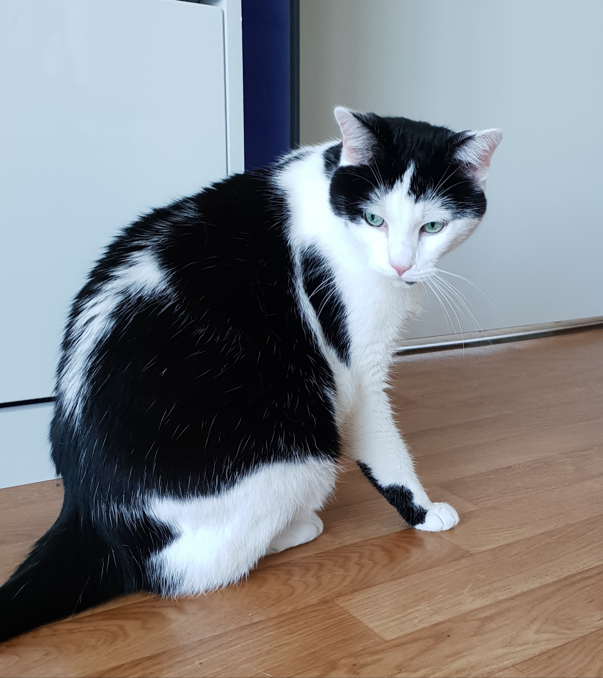 Mimi