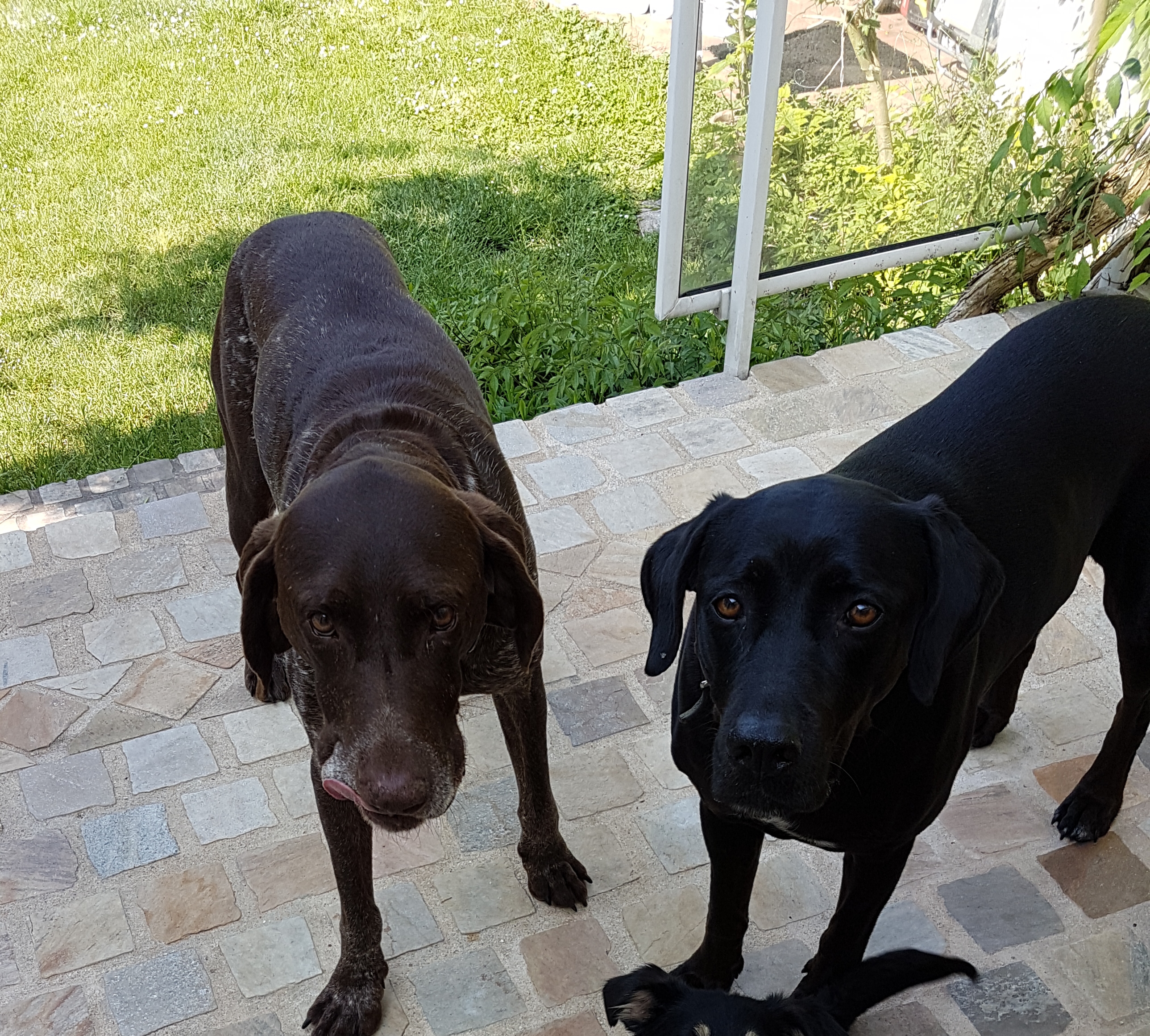 Sam et Ouba