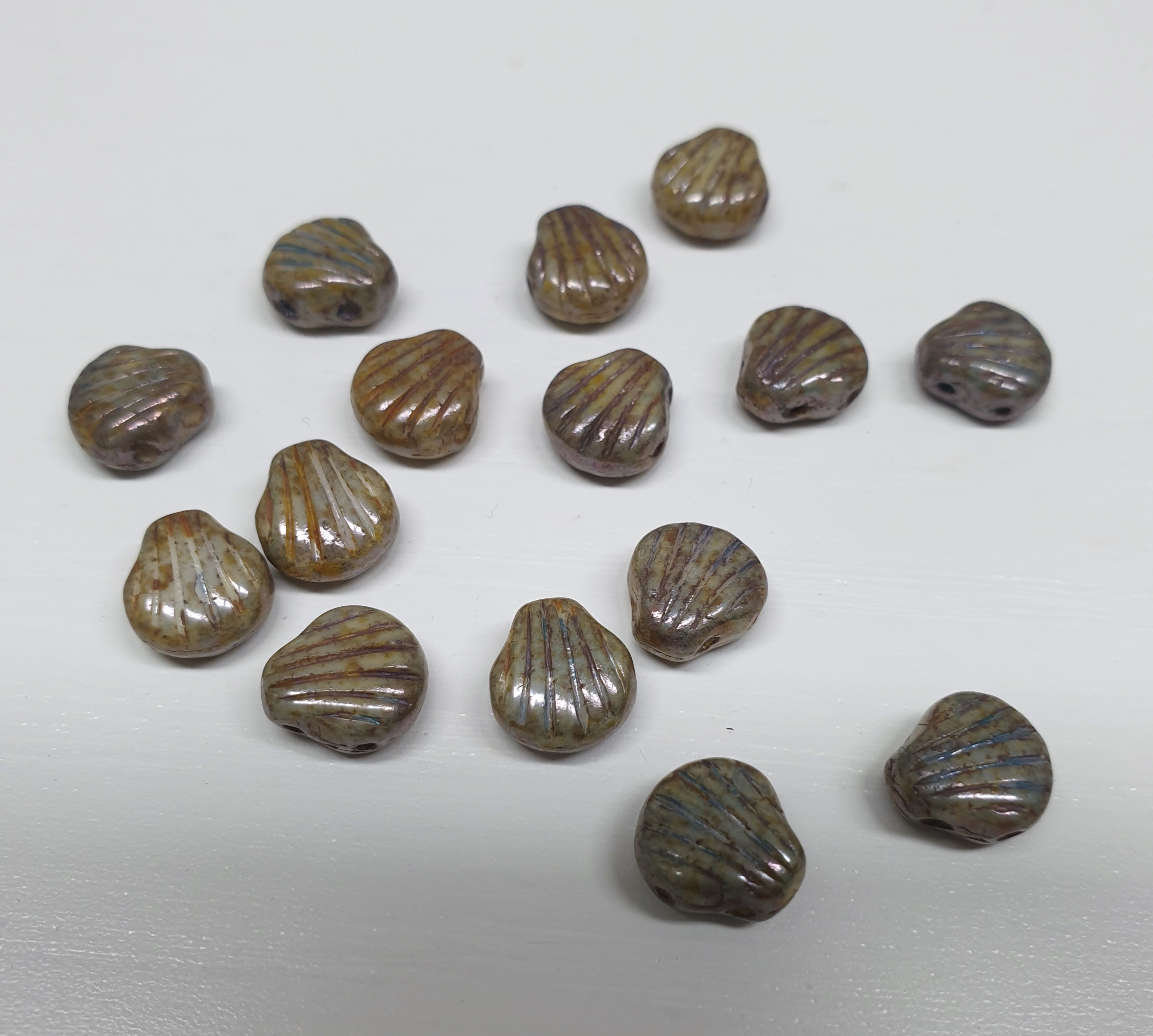 חרוז Shell Douo צדף עם שני חורים צבע חום אפור