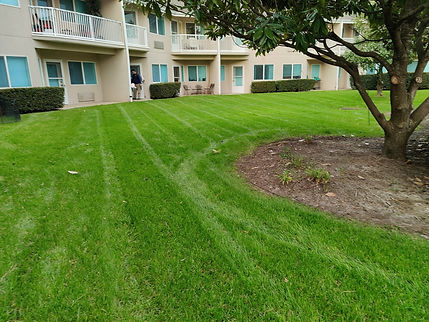 commercial mowing