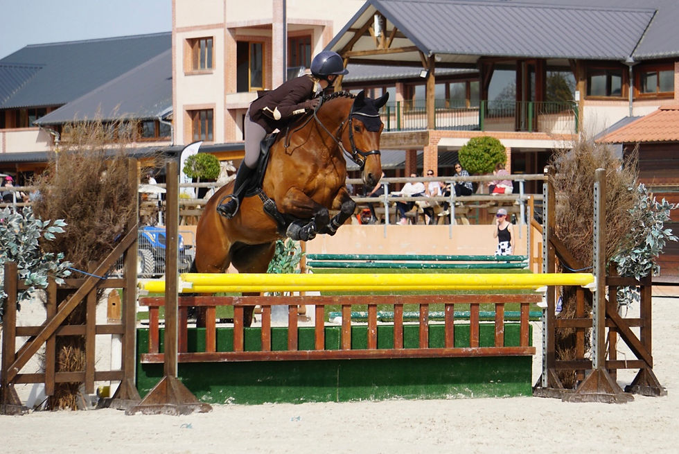 9BAF3A52-8051-4E3B-9314-A932F8196A9D