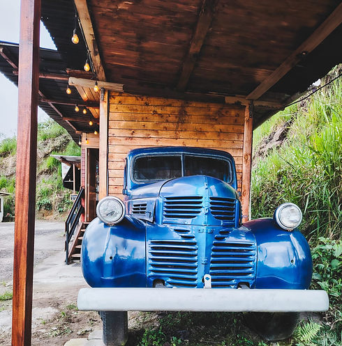 WhatsApp Image 2026-03-12 at 11.11.27.jpeg