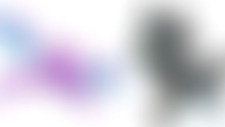 Un Sauvetage inopiné !