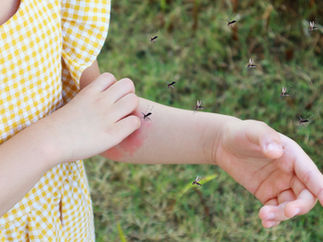 Como identificar a Dengue e se Prevenir dela?