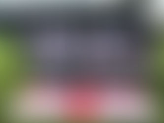 ENGLAND SMASH THE EUROS