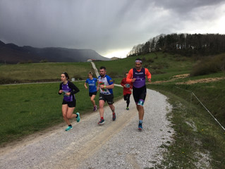 CARRERA VIRTUAL 29/08/2020