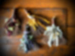 IMG_7783 2.jpeg
