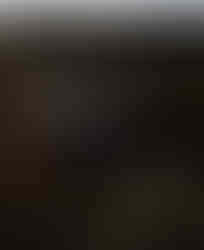 SPOT 먹튀 증거 1