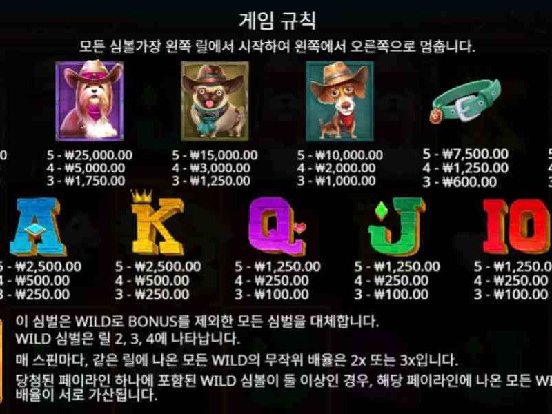 주요 기능 및 보너스 라운드