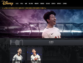 "디즈니, 1,360만 원 '먹튀' 발생… 이용자들 먹튀사이트 주의 필요"
