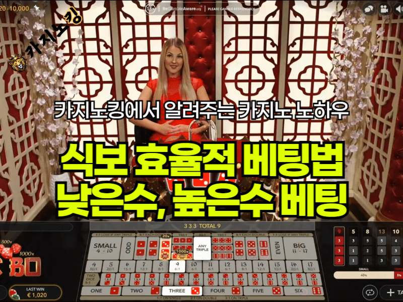 식보 효율적 베팅법 낮은수, 높은수 베팅