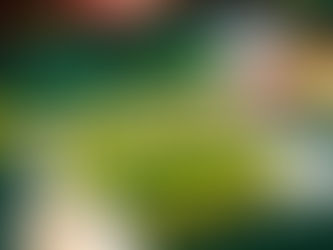 포커게임 배우기: 카지노사이트 초보자에서 고수까지, 당신을 위한 완벽 가이드