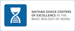 NSCLogo.gif