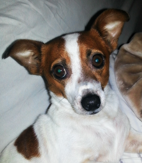 Charlie