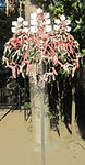 縁のひも掛け
