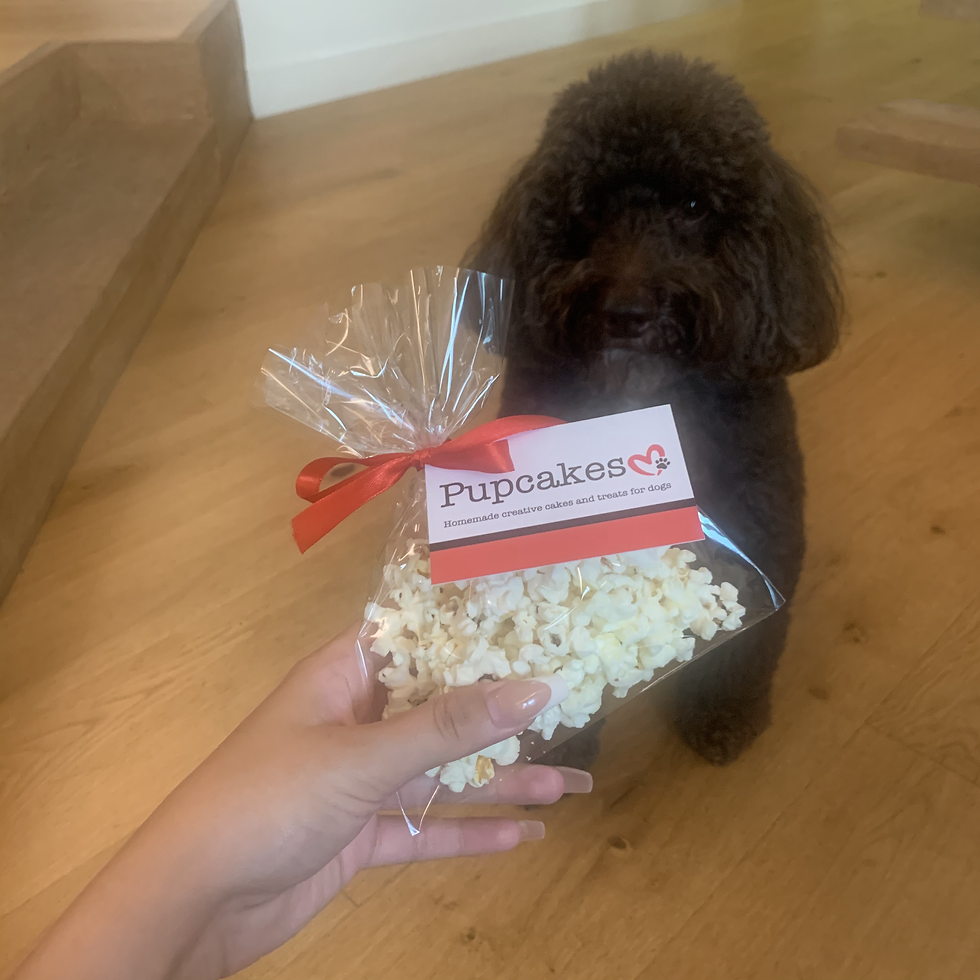 Thumbnail: Pupcorn